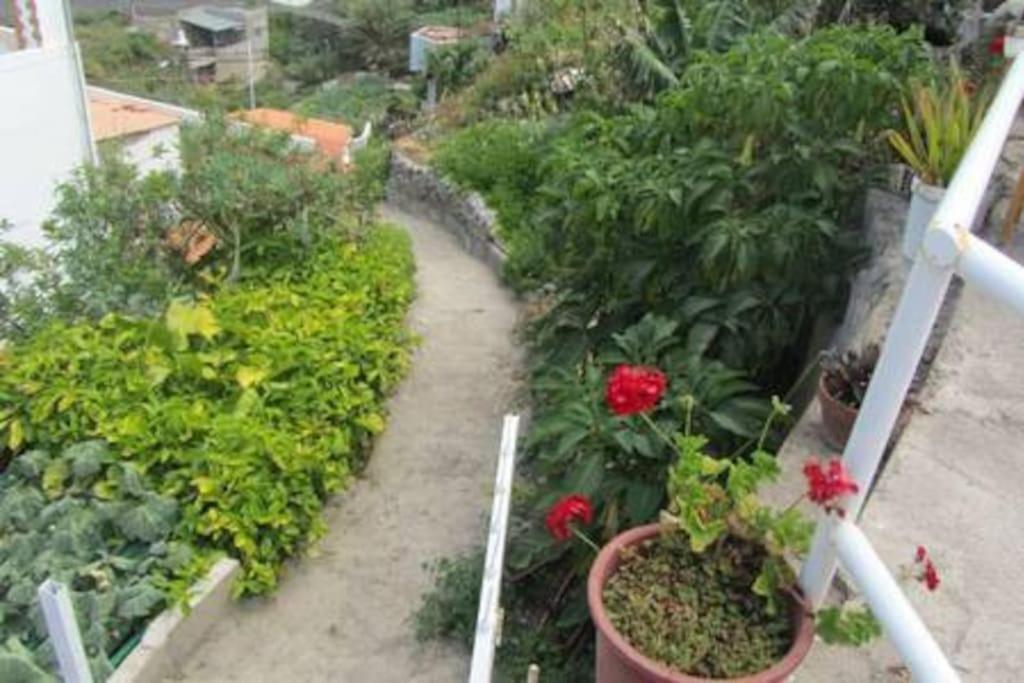 House Rural,Biosphere Reserve World.Taganana.Tfe. Santa Cruz de Tenerife Bagian luar foto