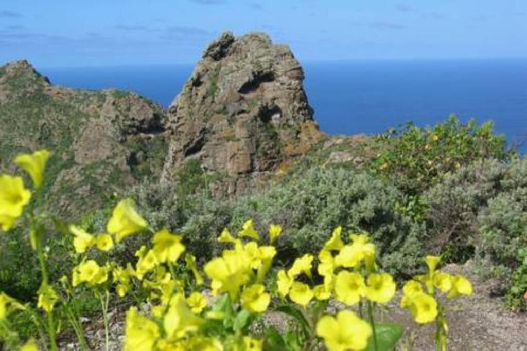 House Rural,Biosphere Reserve World.Taganana.Tfe. Santa Cruz de Tenerife Bagian luar foto